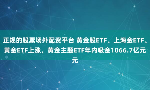 正规的股票场外配资平台 黄金股ETF、上海金ETF、黄金ETF上涨，黄金主题ETF年内吸金1066.7亿元