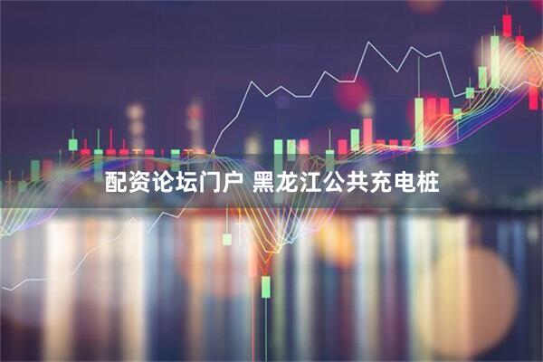 配资论坛门户 黑龙江公共充电桩