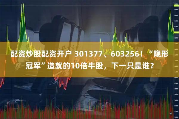 配资炒股配资开户 301377、603256！“隐形冠军”造就的10倍牛股，下一只是谁？