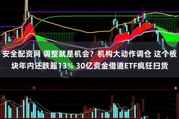 安全配资网 调整就是机会？机构大动作调仓 这个板块年内还跌超13% 30亿资金借道ETF疯狂扫货